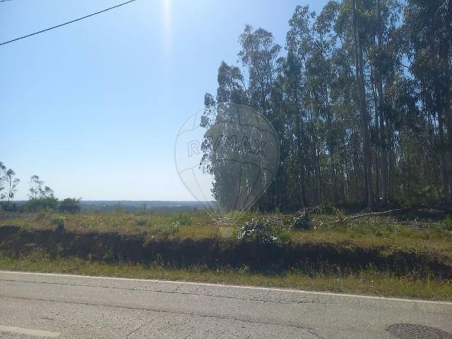 Terreno venda em Almagreira, Pombal