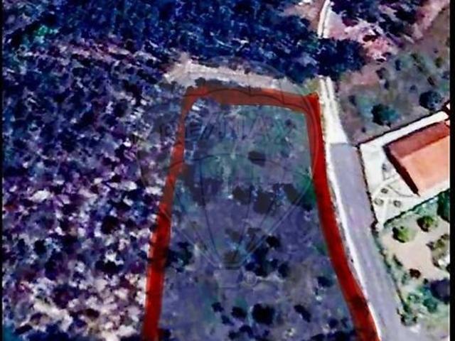 Terreno venda em Almagreira, Pombal