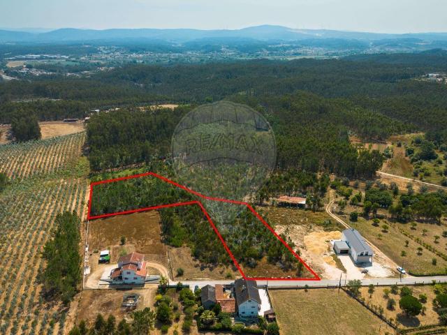 Terreno venda em Almagreira, Pombal