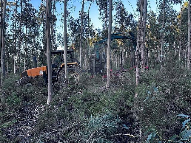 Terreno venda em Almagreira, Pombal