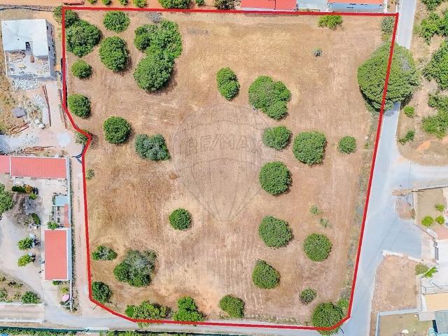 Terreno venda em Figueiral, Loulé