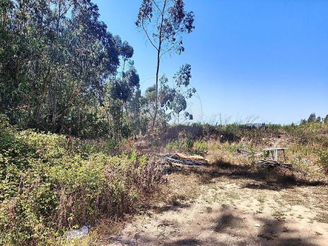 Terreno venda em Pedra Furada, Almargem do Bispo
