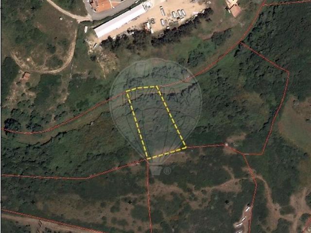 Terreno venda em Dona Maria, Almargem do Bispo