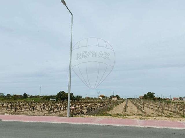 Terreno venda em Almeirim, Santarém