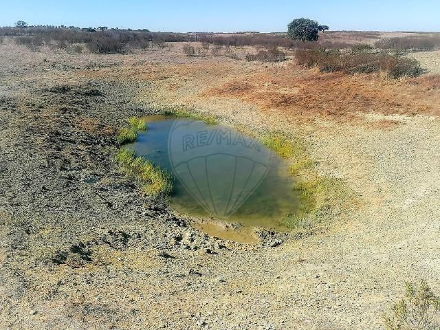Terreno venda em Guedelhas, Almodôvar
