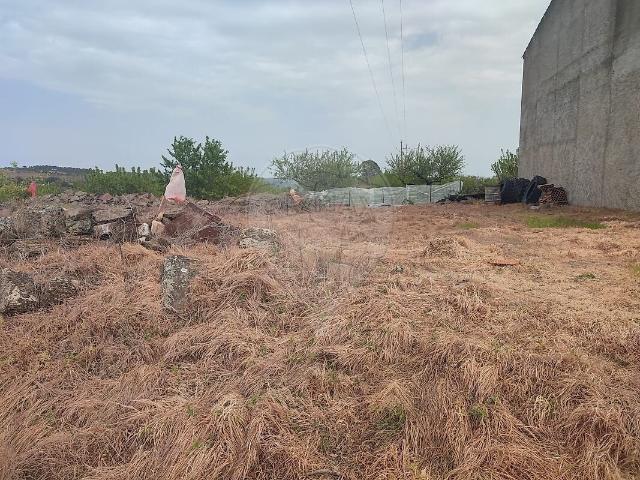Terreno venda em Almofala e Escarigo, Figueira de Castelo Rodrigo