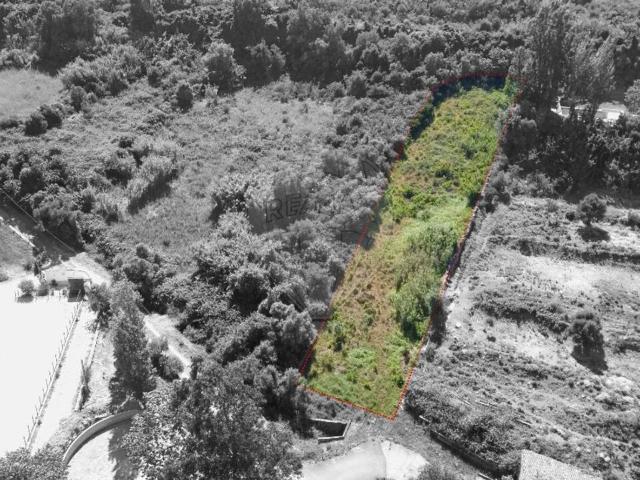 Terreno venda em Almorquim, Sintra
