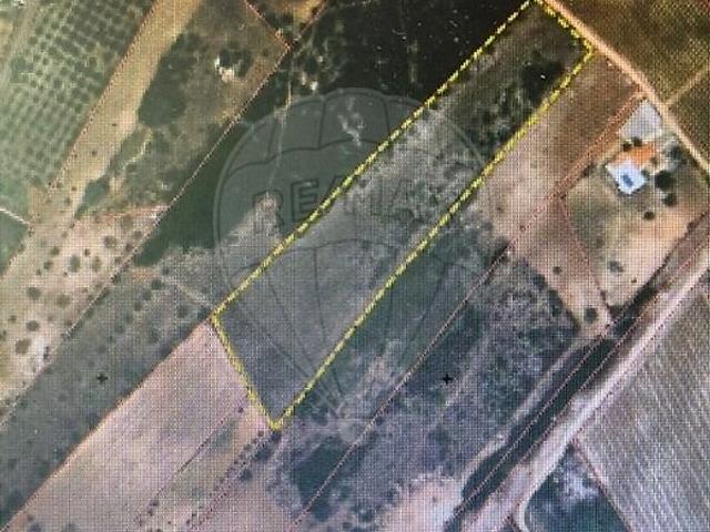 Terreno venda em Almoster, Santarém