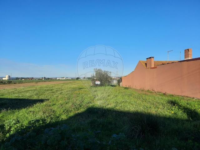Terreno venda em Alpiarça, Santarém