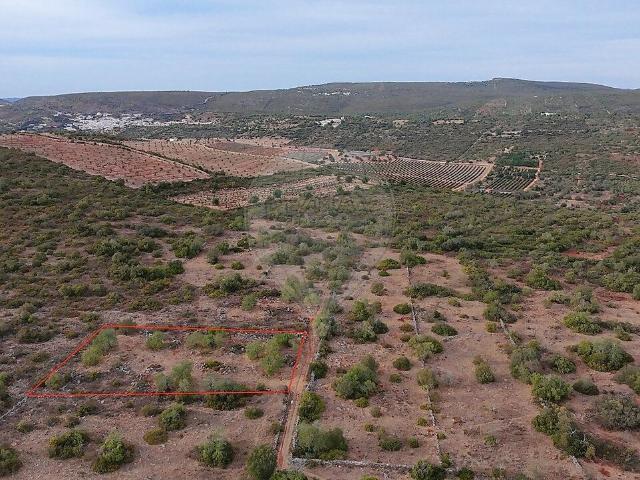 Terreno venda em Alte, Loulé