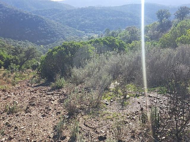 Terreno venda em Alte, Loulé