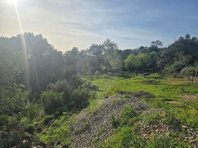 Terreno venda em Alte, Loulé
