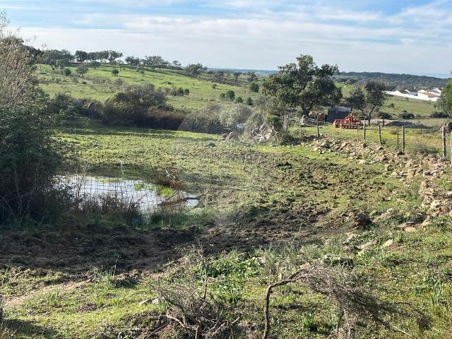 Terreno venda em Alter Do Chão, Portalegre