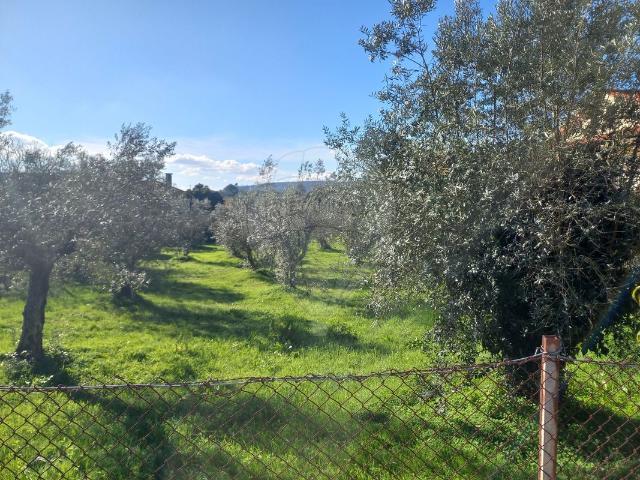 Terreno venda em Alvaiázere, Leiria