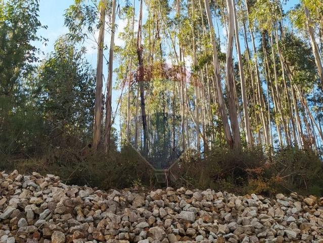Terreno venda em Alvaiázere, Leiria