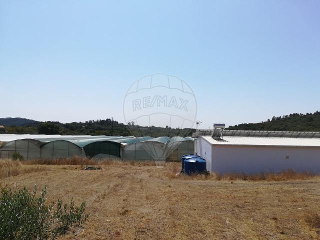 Terreno venda em Alvaiázere, Leiria