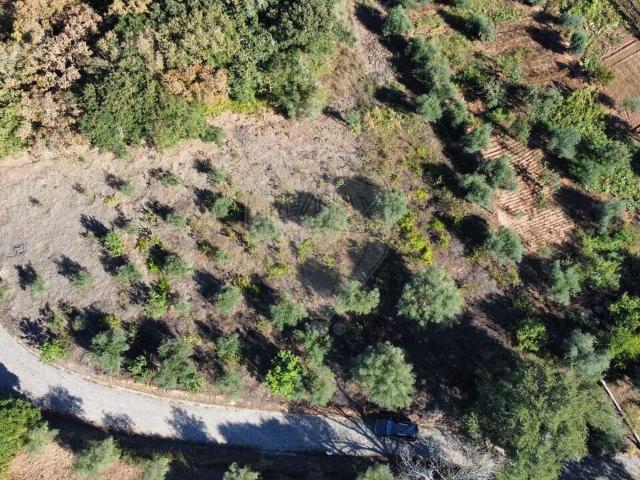 Terreno venda em Pussos, Leiria