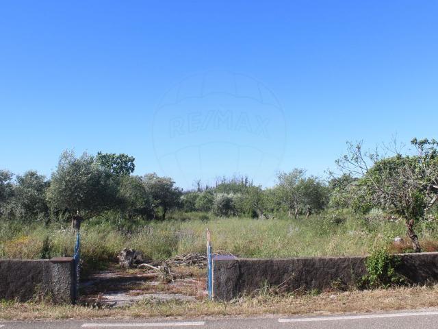Terreno venda em Almoster, Leiria