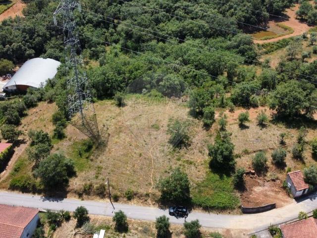 Terreno venda em Rominha, Alvaiázere