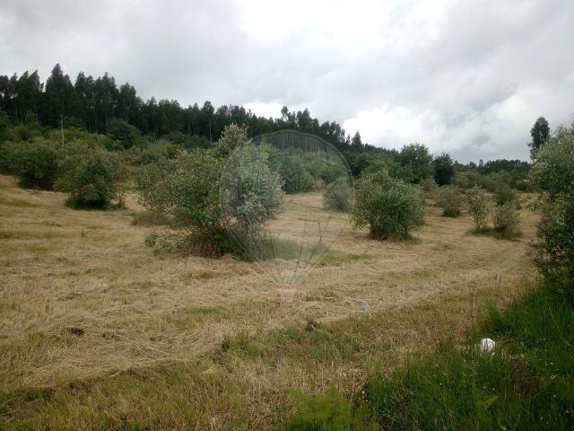 Terreno venda em Pussos, Leiria