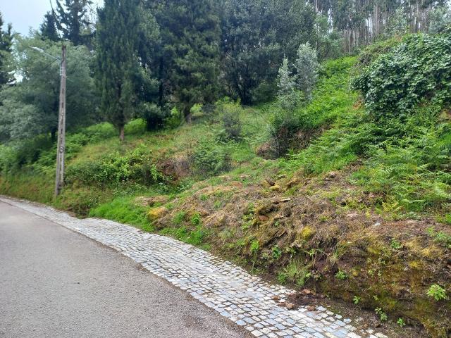 Terreno venda em Rominha, Alvaiázere