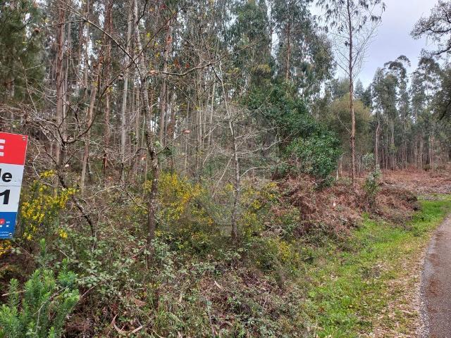 Terreno venda em Fontelheiro, Maçãs De Dona Maria
