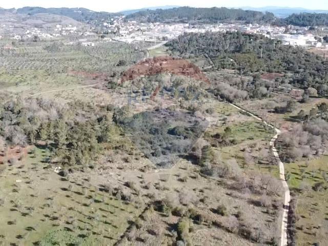 Terreno venda em Boca da Mata, Alvaiázere