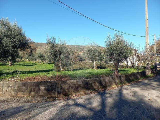 Terreno venda em Pé da Serra, Alvaiázere