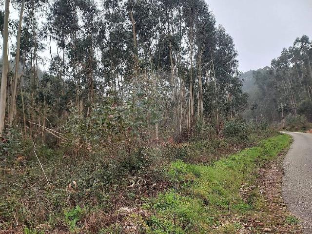 Terreno venda em Rio, Alvaiázere