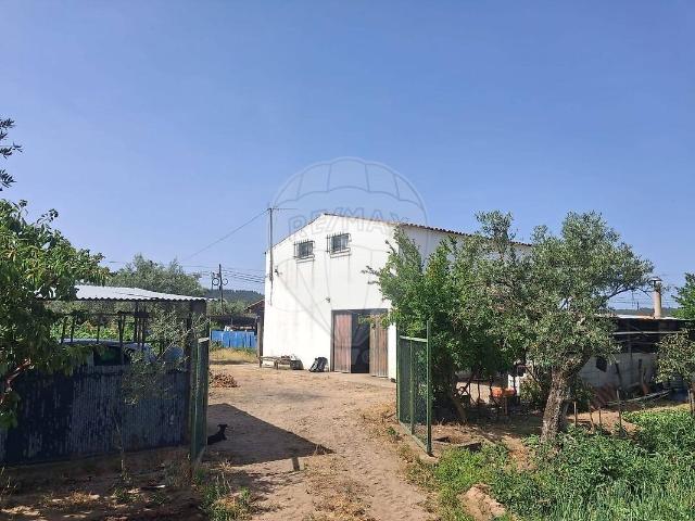 Terreno venda em Alvega e Concavada, Abrantes