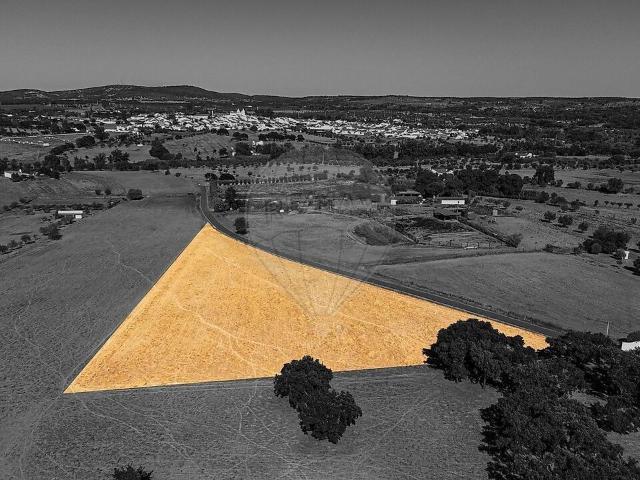 Terreno venda em Alvito, Vila Nova Da Baronia