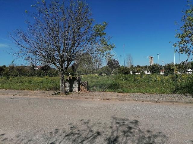 Terreno venda em Bairro Tapada do Lucas, Alvito