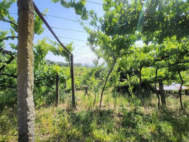 Terreno venda em Figueiró (Santiago e Santa Cristina), Amarante
