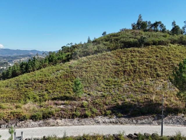 Terreno venda em Amarante, Porto