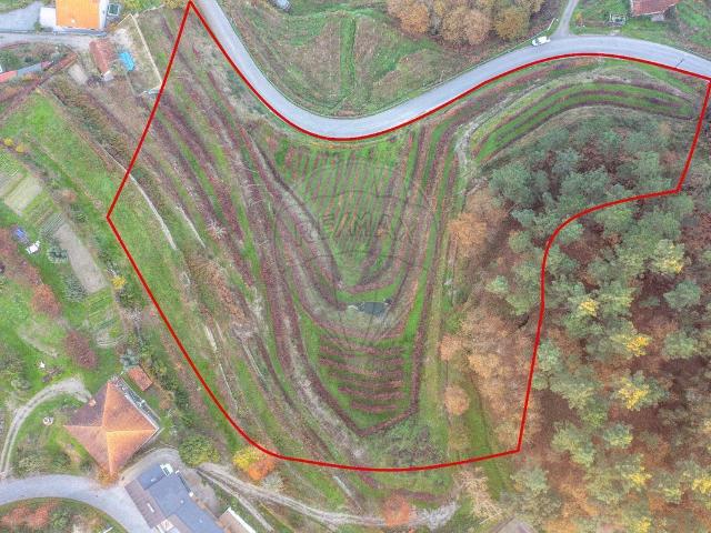 Terreno venda em Amarante, Porto