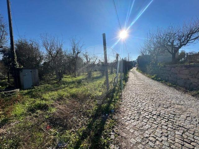 Terreno venda em Amarante, Porto