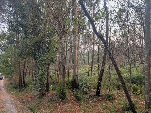 Terreno venda em Amarante, Porto