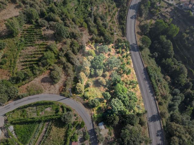 Terreno venda em Amarante, Porto