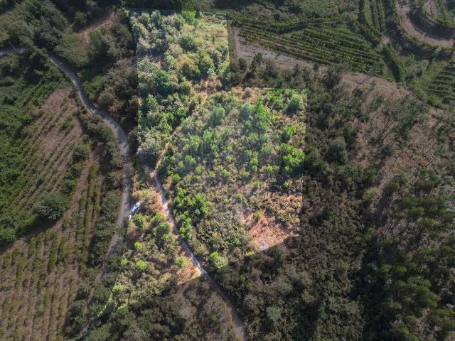 Terreno venda em Gatiães, Amarante
