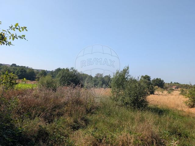 Terreno venda em Amarante, Porto