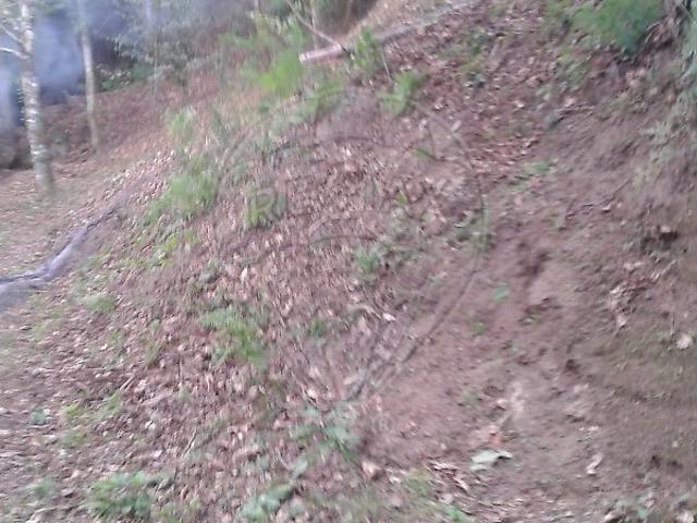 Terreno venda em Gatiães, Amarante