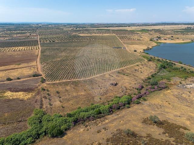 Terreno venda em Amareleja, Moura