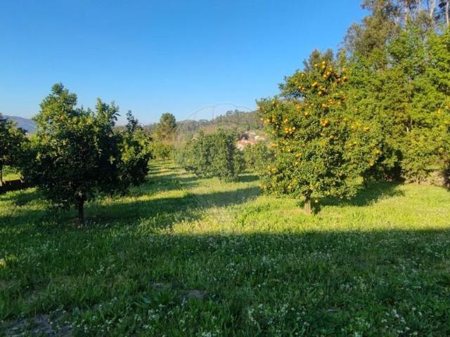 Terreno venda em Amares, Braga