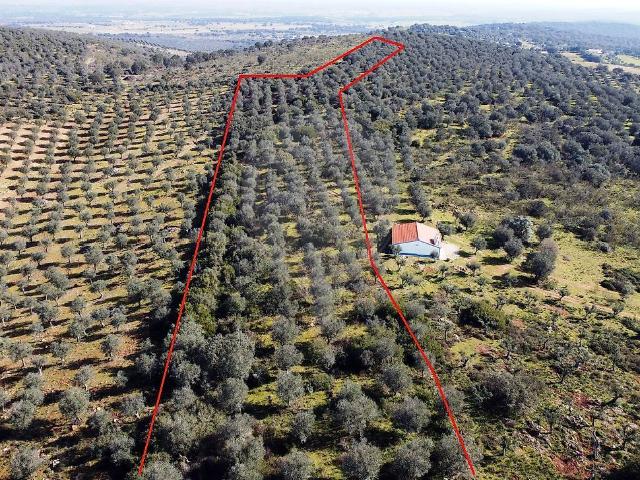 Terreno venda em Santo Estevão, Estremoz