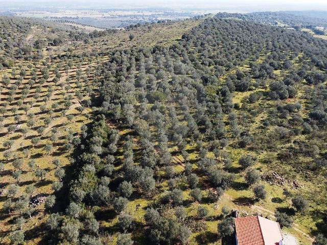 Terreno venda em Santo Estevão, Estremoz