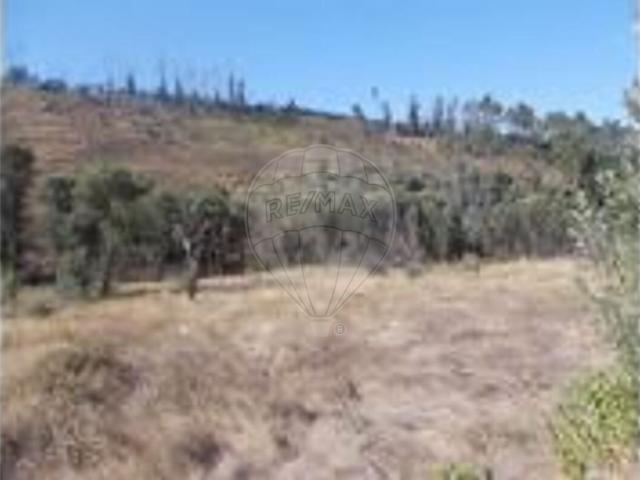 Terreno alugar em Amêndoa, Mação