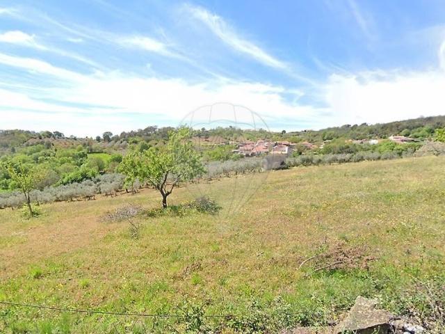 Terreno venda em Amendoeira, Macedo de Cavaleiros