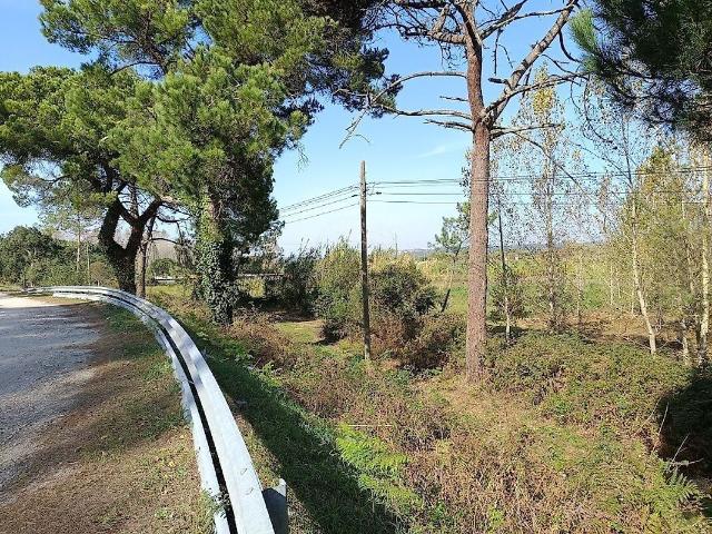 Terreno venda em Amor, Leiria