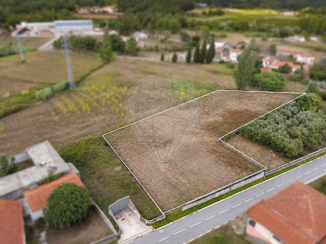 Terreno venda em Amoreira da Gândara, Paredes do Bairro e Ancas, Anadia
