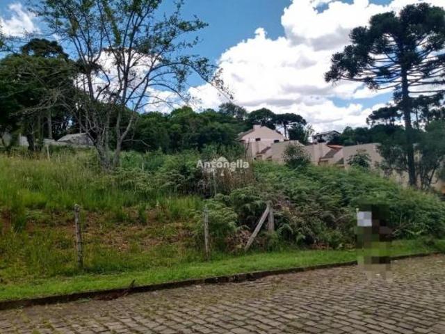 Terreno venda em Região Geográfica Imediata de Caxias do Sul, Caxias do Sul